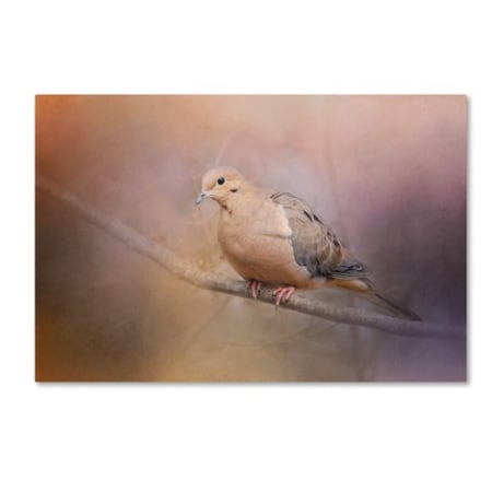 Jai Johnson 'Mourning Dove On A Winter Evening' Canvas Art,12x19